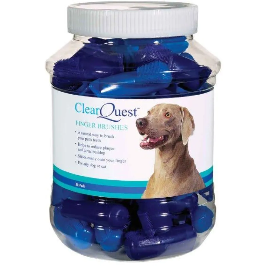 Shop ClearQuest Finger Brush Pet Toothbrush, 1-count