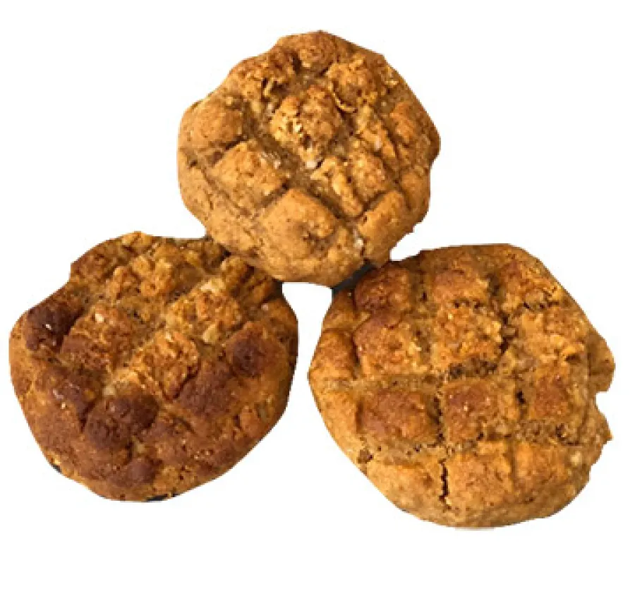 Best Dog Bakery by Pets … Dog Bakery by Pets Naturally Oatmeal Soft Bite Dog Treats, 16-oz