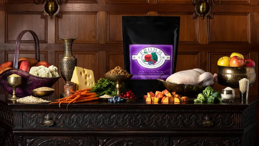 Best Fromm Four-Star Nutritionals Duck A La Veg Dry Dog Food, 4-lb