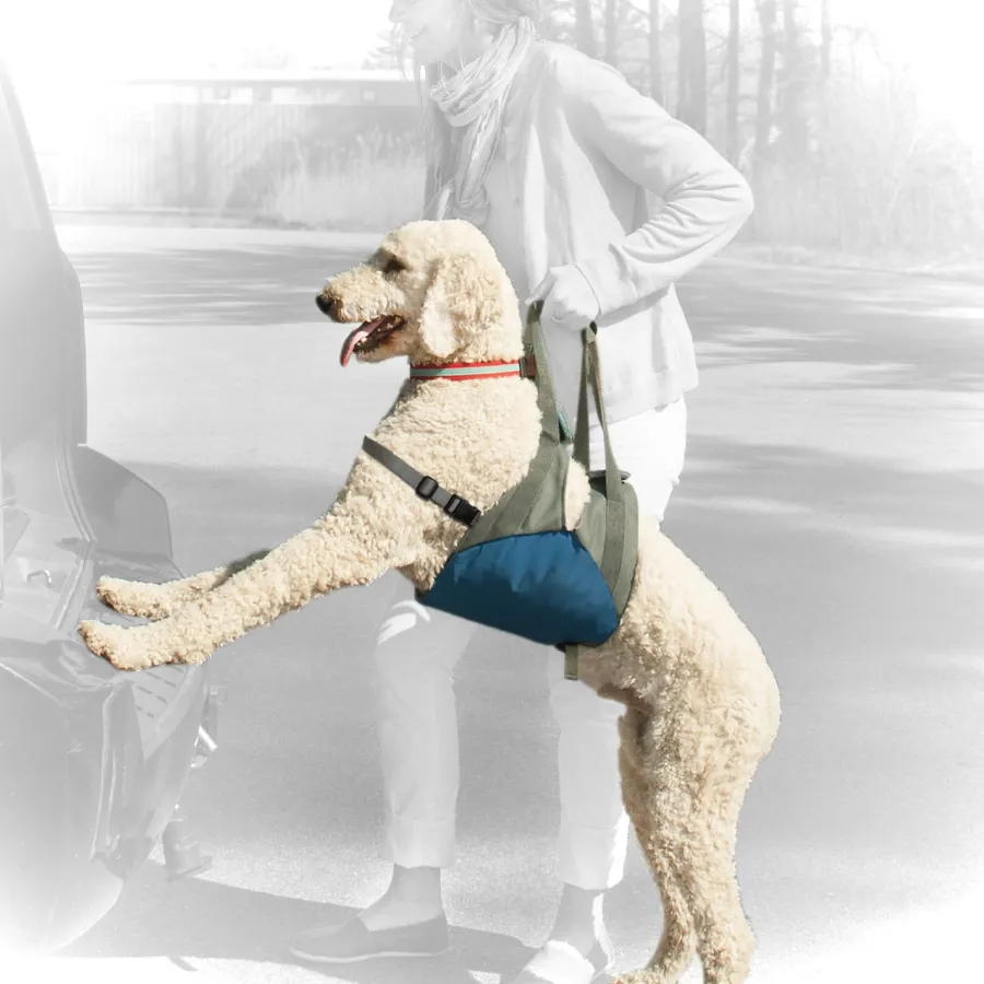 Hot Kurgo Up & About Dog Lifter