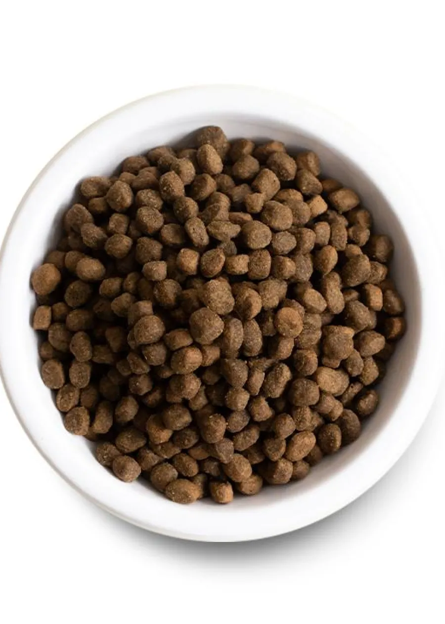 Flash Sale Open Farm Senior Turkey & Chicken Grain-Free Dry Dog Food, 22-lb