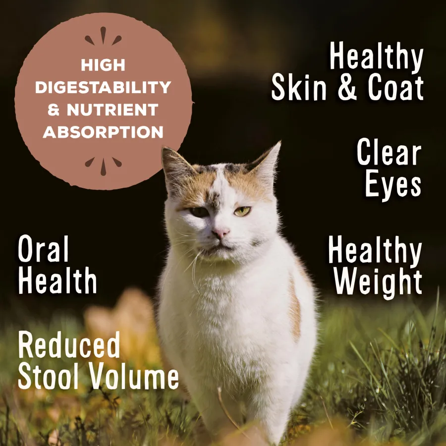 Best Primal Pet Foods Primal Raw Frozen Nuggets Chicken & Salmon Formula Cat Food, 3-lb
