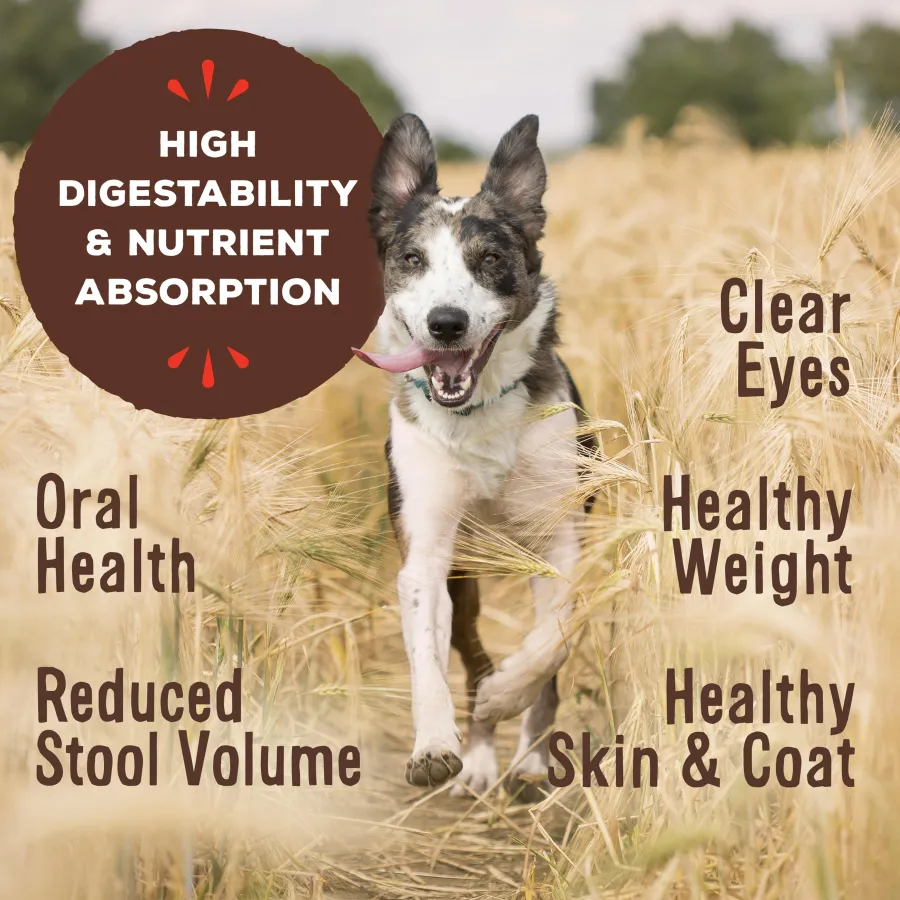 Online Primal Pet Foods Primal Raw Frozen Nuggets Lamb Formula Dog Food, 3-lb