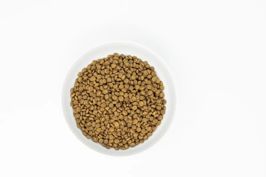 Best Stella & Chewy's Raw Coated Kibble Cage-Free Chicken Recipe Grain-Free Dry Cat Food, 2.5-lb
