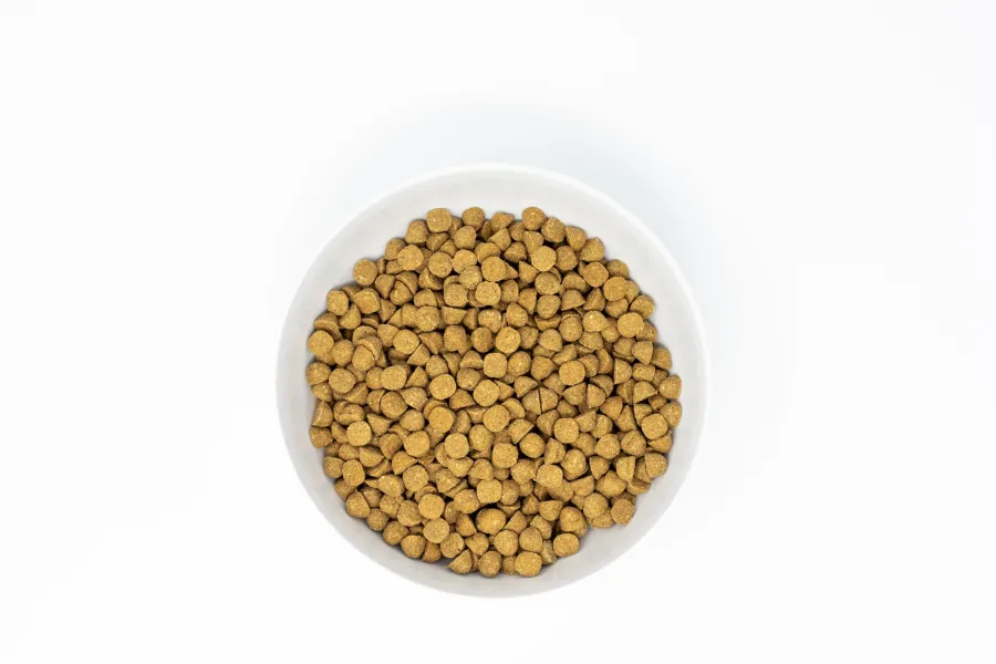 Clearance Stella & Chewy's Raw Coated Kibble Wholesome Grains Beef, Pumpkin & Quinoa Small Breed Dry Dog Food, 10-lb