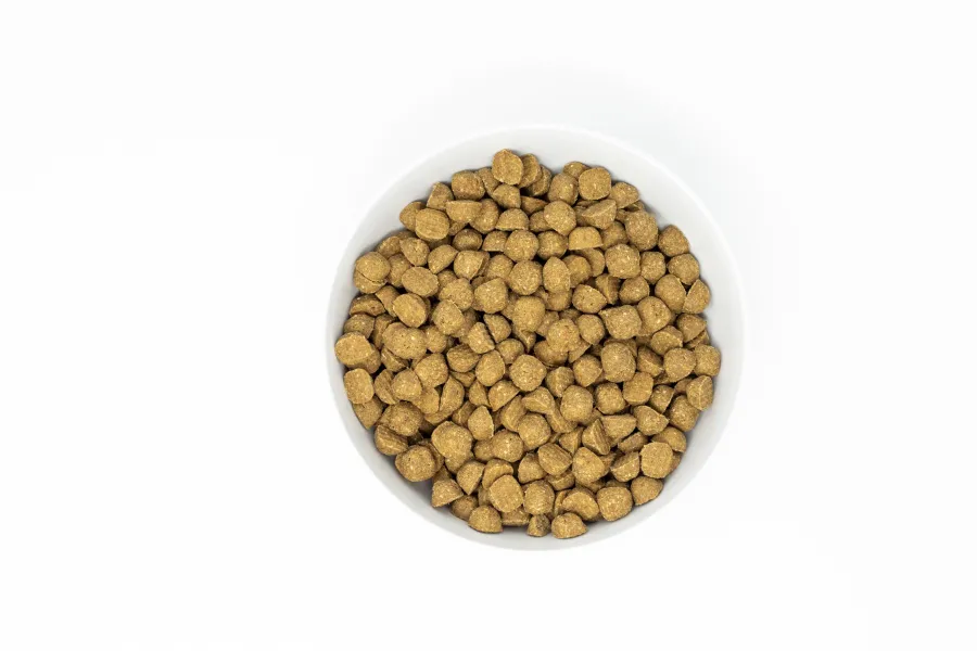 Clearance Stella & Chewy's Raw Coated Kibble Wholesome Grains Chicken, Pumpkin & Quinoa Dry Dog Food, 22-lb