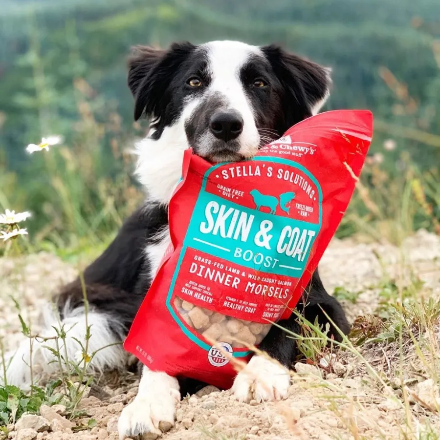 Best Sale Stella & Chewy's Stella's Solutions Skin & Coat Boost Grass-Fed Lamb & Wild-Caught Salmon Dinner Morsels Freeze-Dried Dog Food, 13-oz