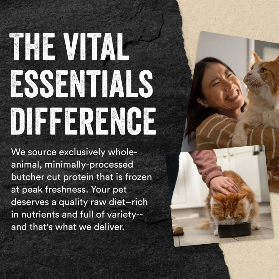 Shop Vital Essentials Rabbit Entree Mini Nibs Freeze-Dried Raw Cat Food, 8-oz