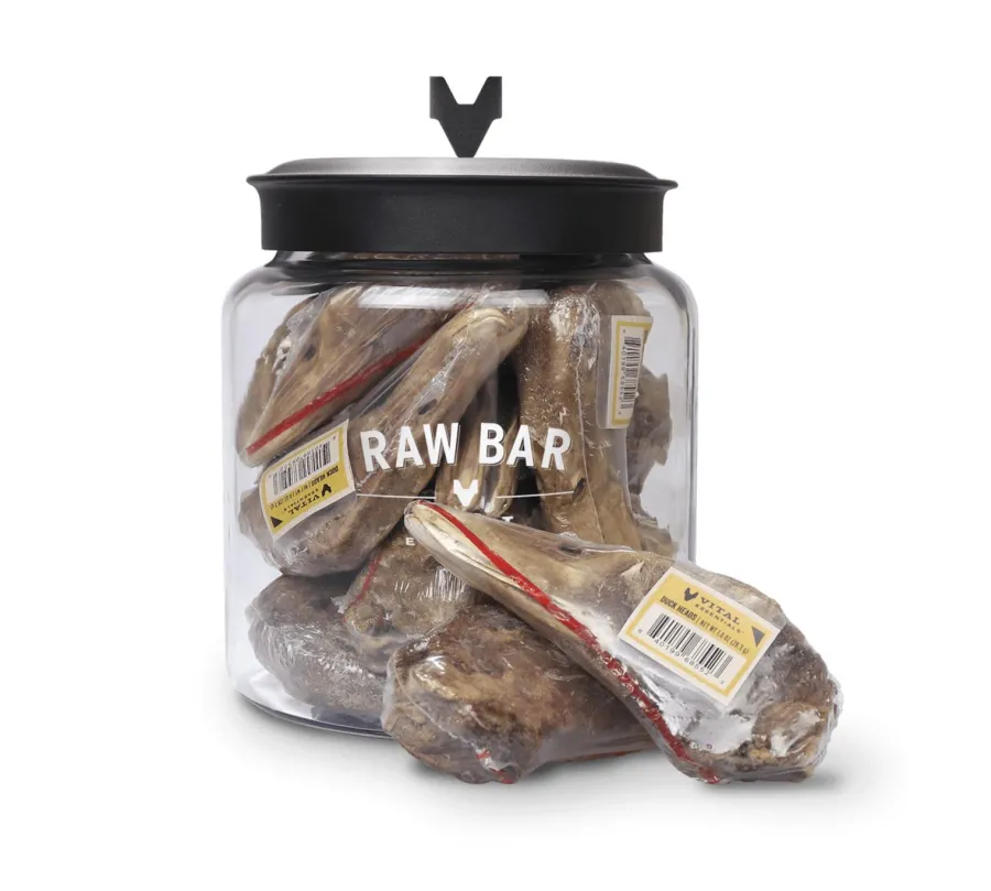 Store Vital Essentials RAW BAR Duck Heads Freeze-Dried Raw Dog Treats, 1-count